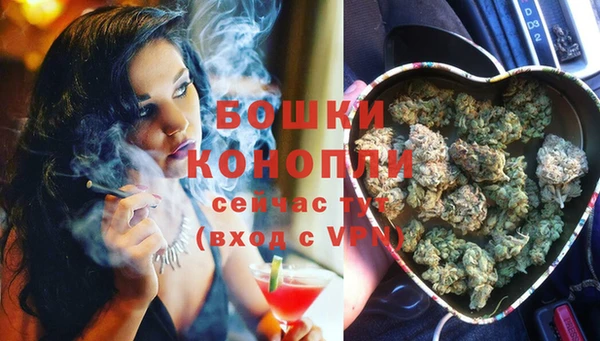 шишки Волосово