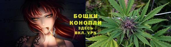 Альфа ПВП Волоколамск