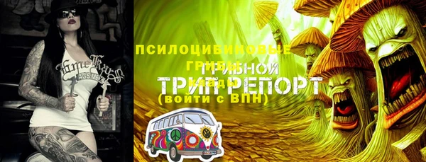 Альфа ПВП Волоколамск
