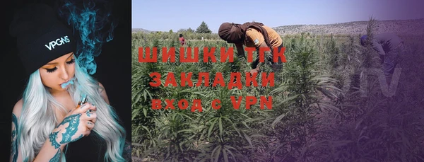 шишки Волосово