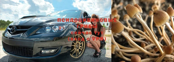 дживик Володарск