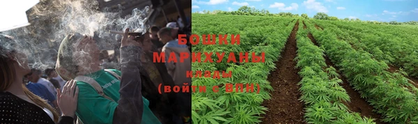 дживик Володарск