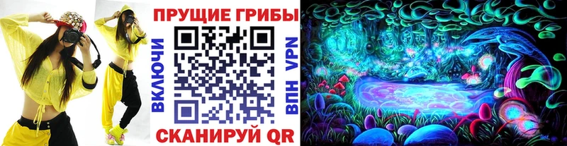 darknet наркотические препараты  Афипский  Галлюциногенные грибы ЛСД 